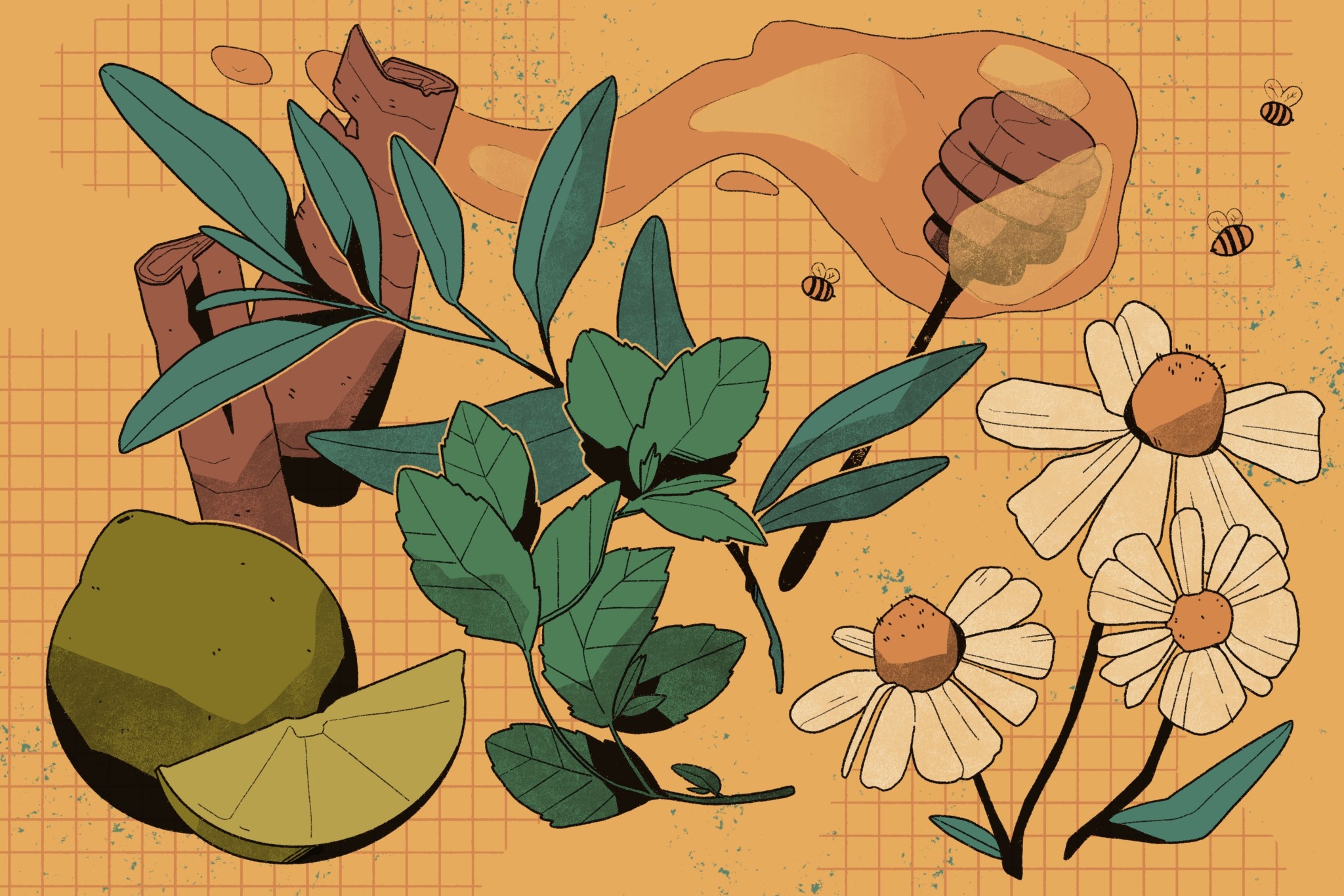 Remedios caseros: La curación tradicional significa plantas, rezos